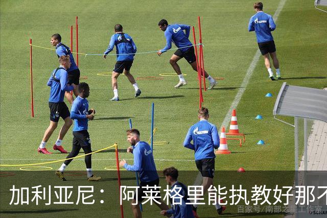 加利亚尼：阿莱格里能执教好那不勒斯，他会根据队内球员制定战术