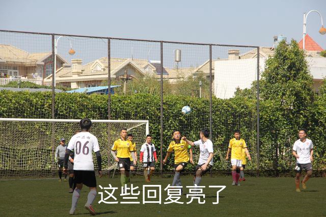 这些回复亮了